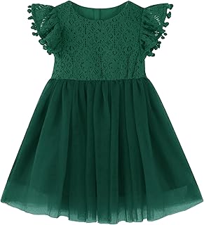 Toddler Girls Lace Dresses Baby Girl Elegant Dress Flutter Sleeve Lace Party Princess Dress - Buy now