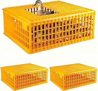 2 PCS Heavy Duty Plastic Poultry Carrier Crate, 29 x 21.3 x 13 Inch Chicken Transport Cage Box, Portable Livestock Travel Crate for 10-13 Adult Chickens Ducks Geese Poultry Birds
