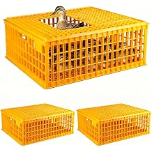 2 PCS Heavy Duty Plastic Poultry Carrier Crate, 29 x 21.3 x 13 Inch Chicken Transport Cage Box, Portable Livestock Travel Crate for 10-13 Adult Chickens Ducks Geese Poultry Birds