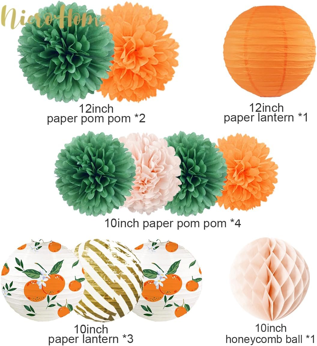 NICROHOME EUR Little Cutie Baby Shower Decorations, 12 PCS Light Orange Sage Green Tissue Pom Poms Citrus Paper Lanterns Confetti 50G for Fruit Themed Party Spring Summer Party Birthday Party Supplies - Image 3