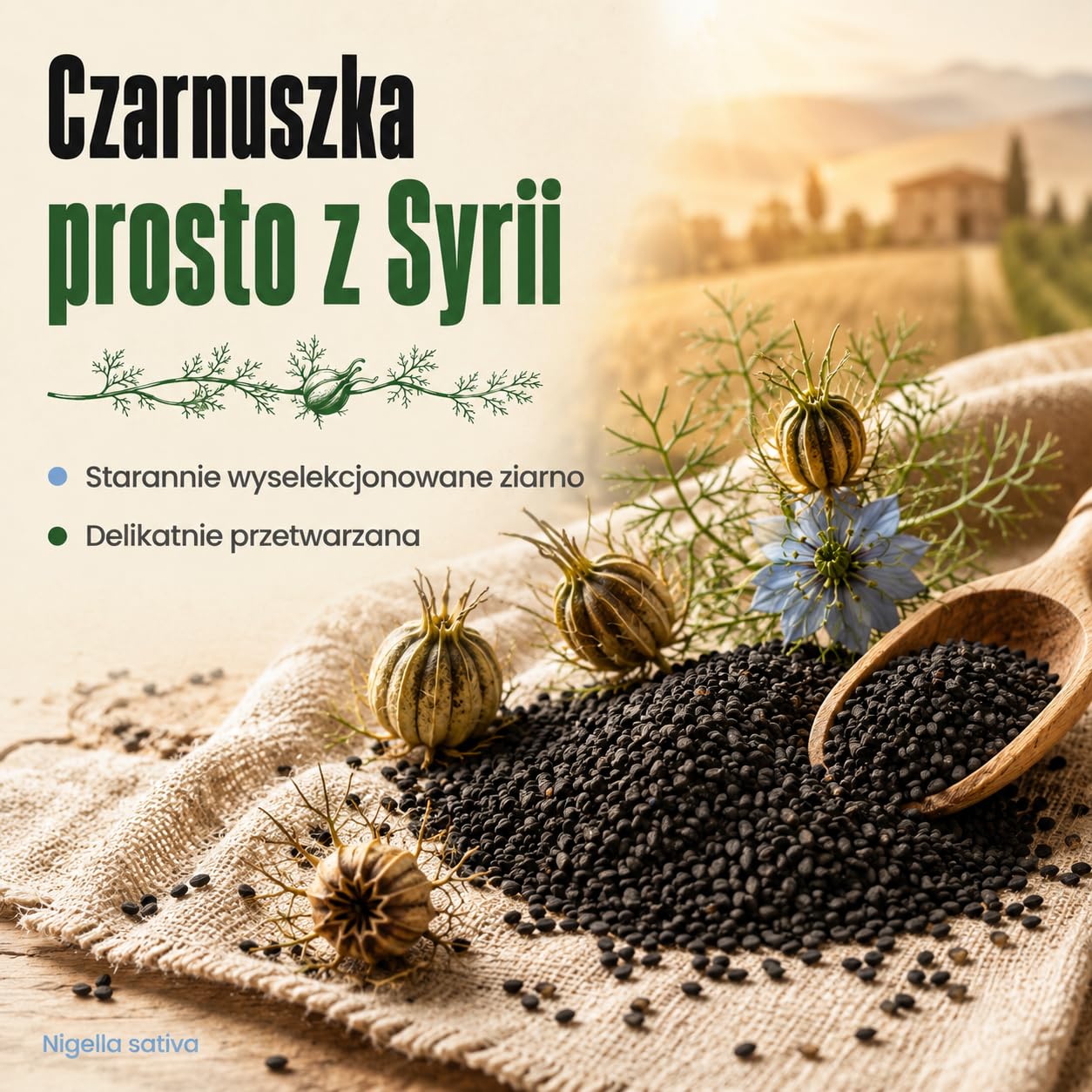 GiDeli Nasiona czarnuszki 1 kg prawdziwych nasion czarnuszki uniwersalne w Twojej kuchni
