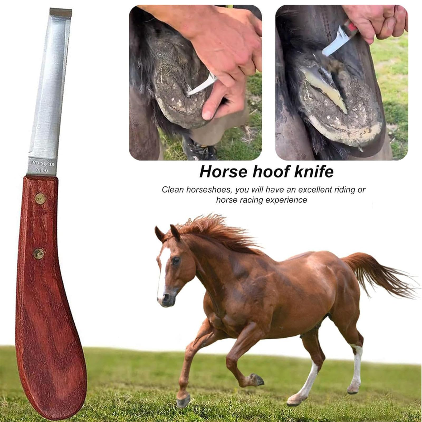 Kit di Attrezzi per maniscalco da 9 Pezzi, Pinza per Zoccoli, Trimmer per Ferro di Cavallo, Kit di Strumenti per la Cura dello Zoccolo per bovini, Pecore, Cavalli, Asini