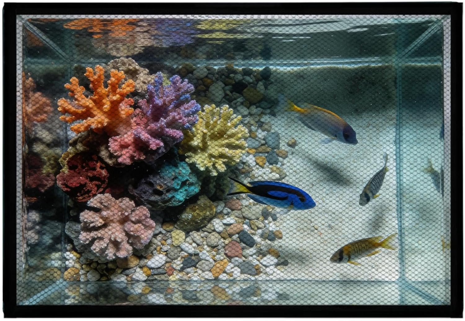 Aquarium Mesh Lid - Magnetic Fish Tank Cover Screen Hood, Breathable Anti Escape Tank Protector, Lightweight Durable Mesh Structure for Aquarium Safety Use, Home Office Pet Store Breeder Setup