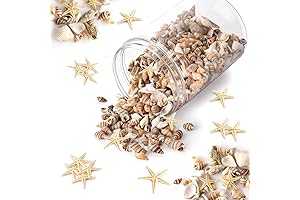 Assorted Mini Seashells and Starfish: Crafting Inspiration at Your Fingertips