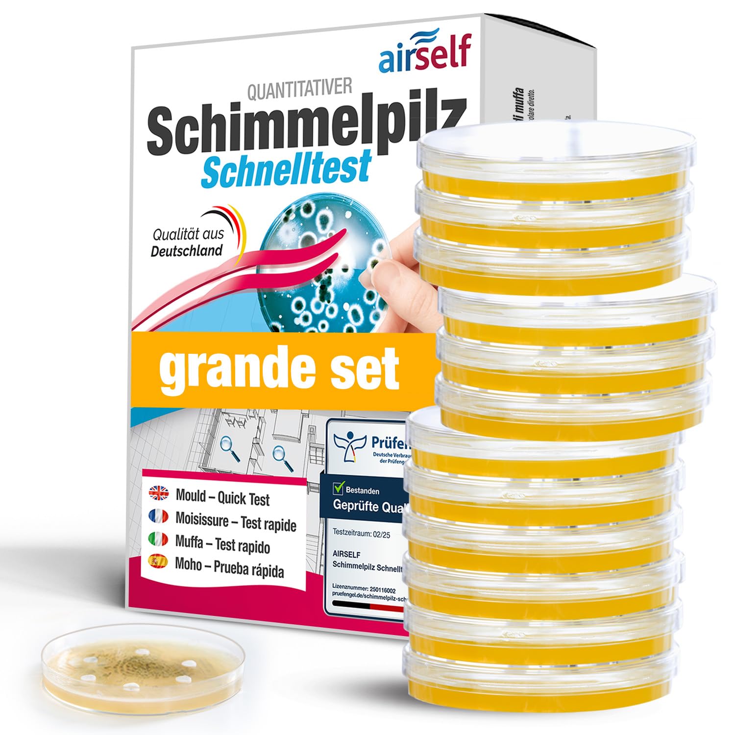 Test muffa airself multipack – kit con 12 terreni di coltura per analisi dell’aria interna e rilevamento delle spore in più ambienti