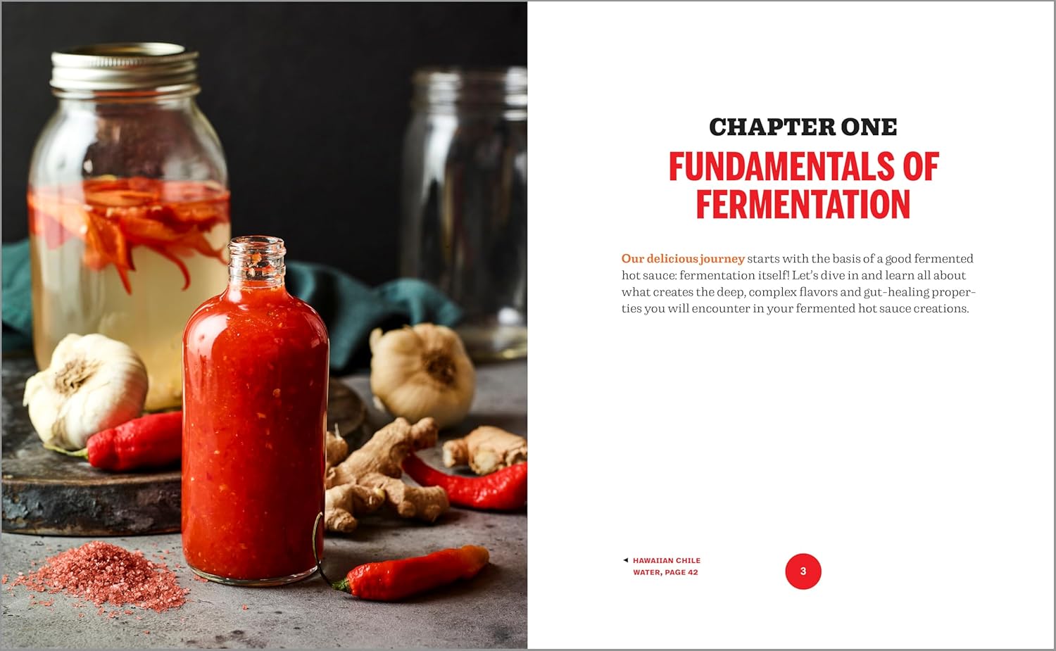 Fermented Hot Sauce Cookbook: A Step-by-Step Guide to Making Hot Sauce From Scratch - Image 4