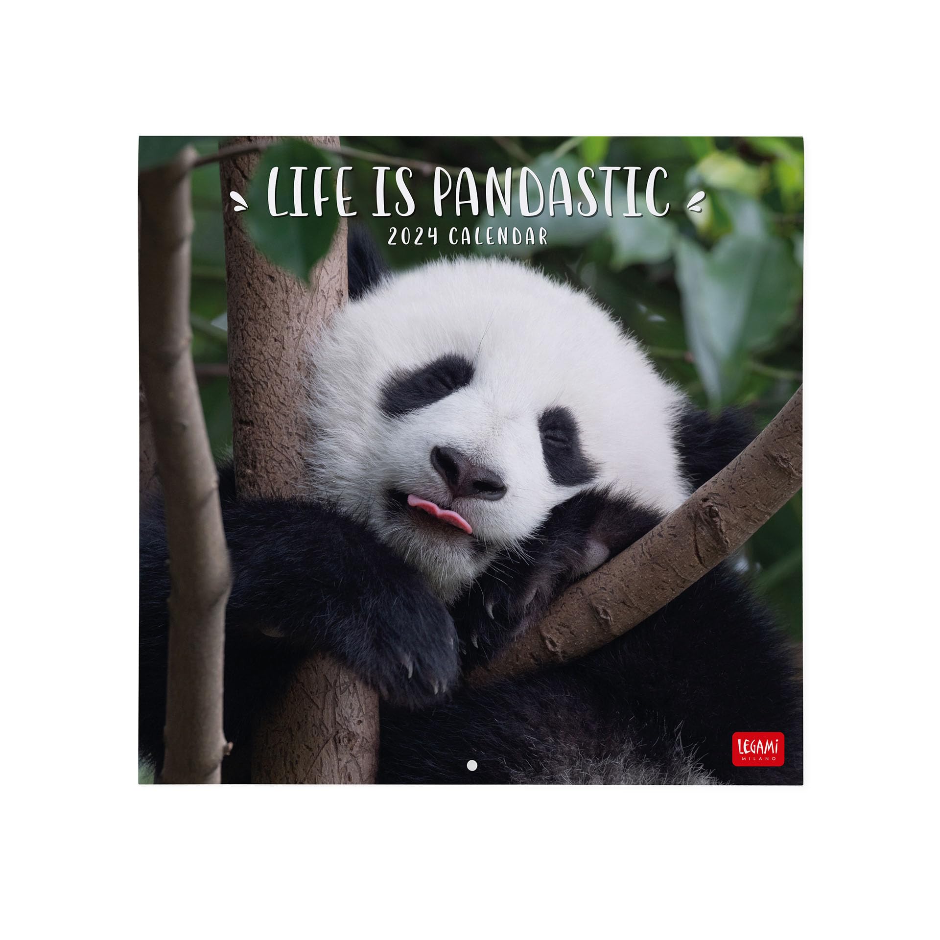 Legami, Wall Calendar 2024, 12 Months and Annual Planner, Space for Notes and Notes Number of the Week, 6 Languages