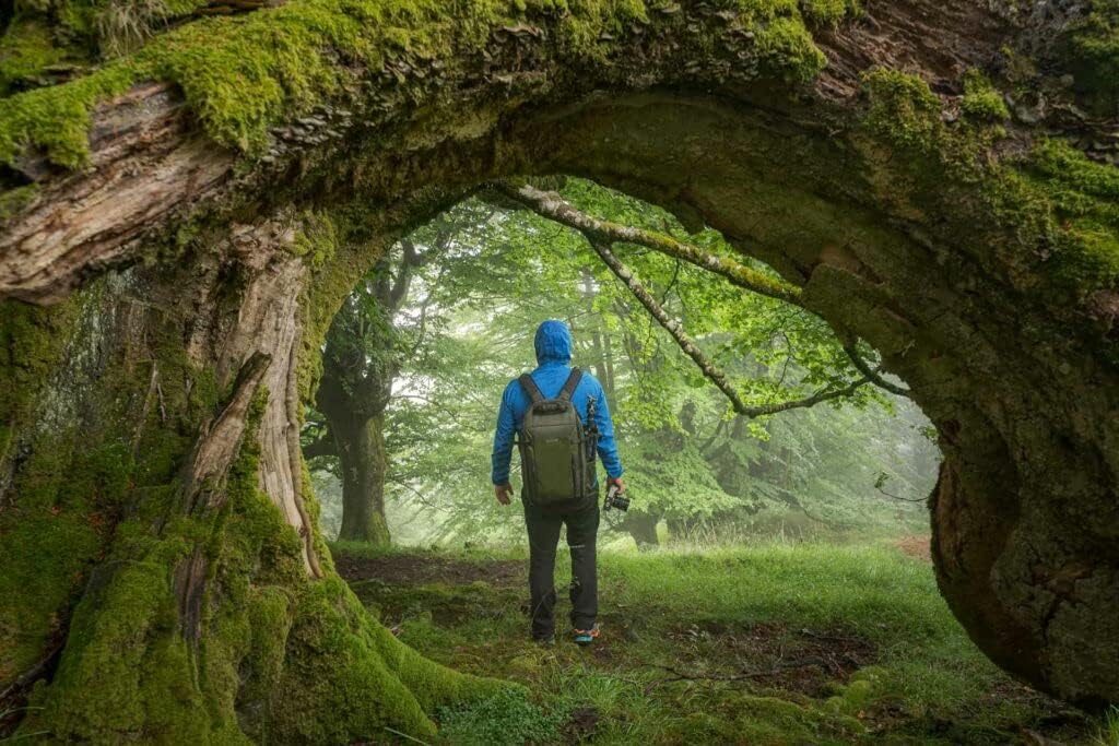 VANGUARD VEO Select 48BF Backpack for DSLR Camera - Green