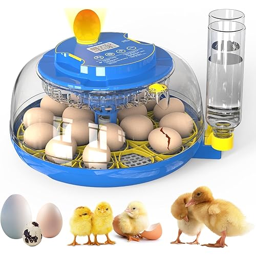 Egg Incubator for Hatching Chicks, 18 Eggs Automatic Egg Turner Multifunctional Smart Incubator 360° Clear Window with Temperature & Humidity Control, Egg Candler for Poultry Chickens Ducks Quails