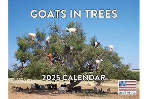 Captivating Possum Calendar: 12 Months of Opossum Goodness for 2024