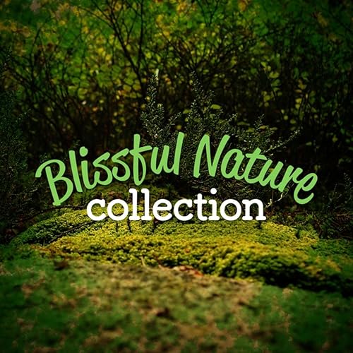 Good Morning Birds By Nature Sound Collection On Amazon Music