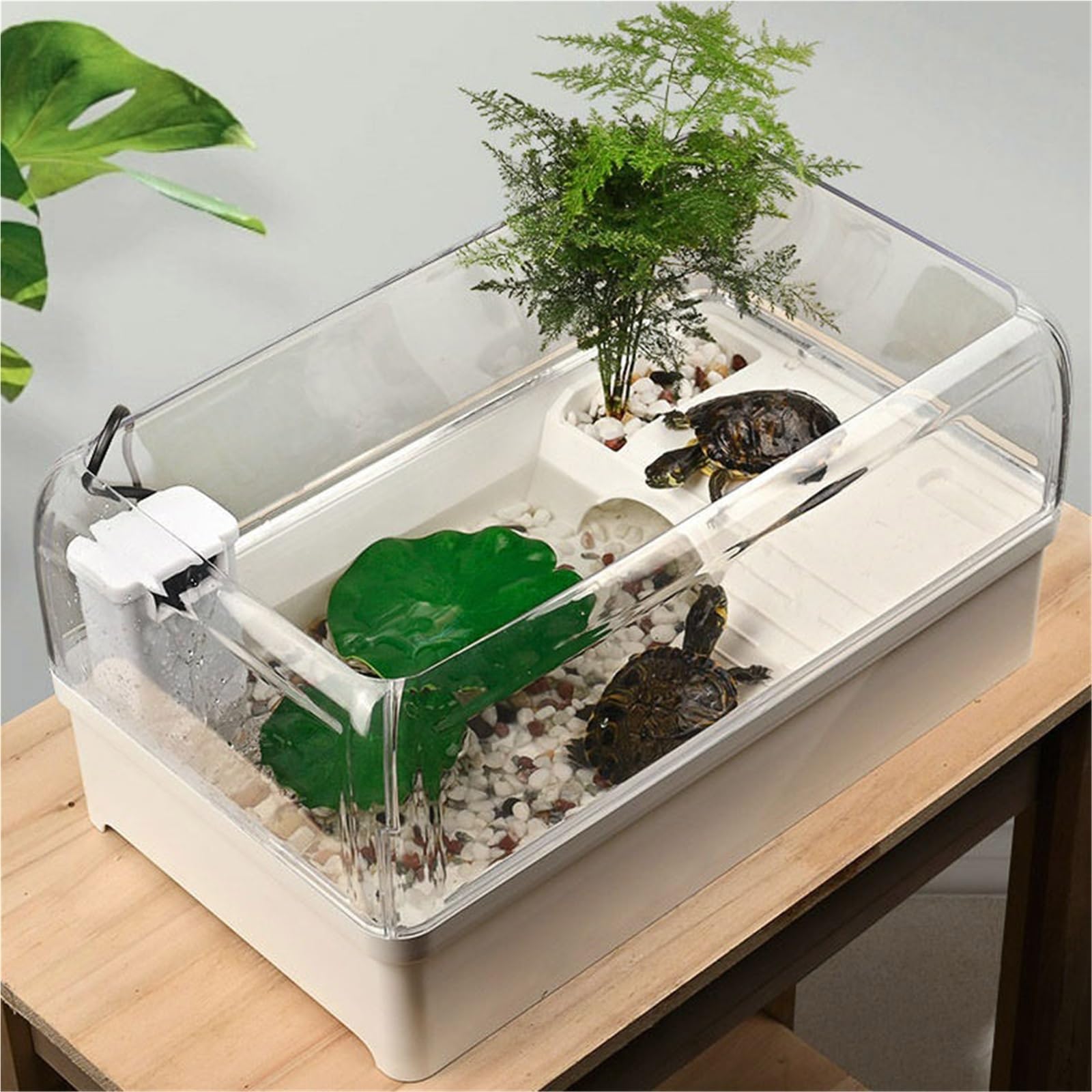 Siedlisko terrarium Zbiornik do karmienia żółwi białych z platformą suszenia na słońcu hodowli Terrarium akwariowe