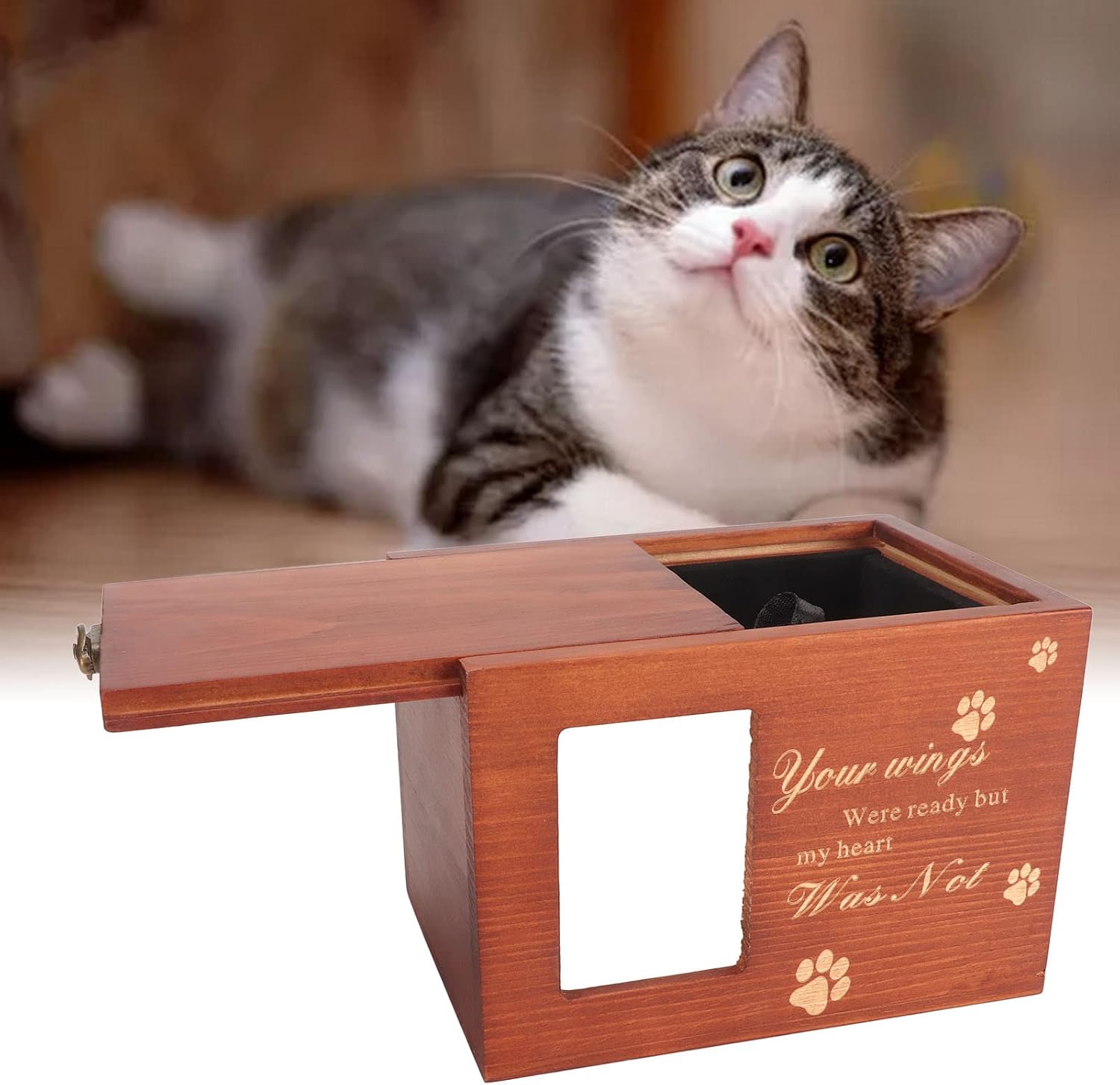 Pet Memorial Wooden Urn Box with Picture Frame - Engraved Paw Prints and Text - for Dogs and Cats