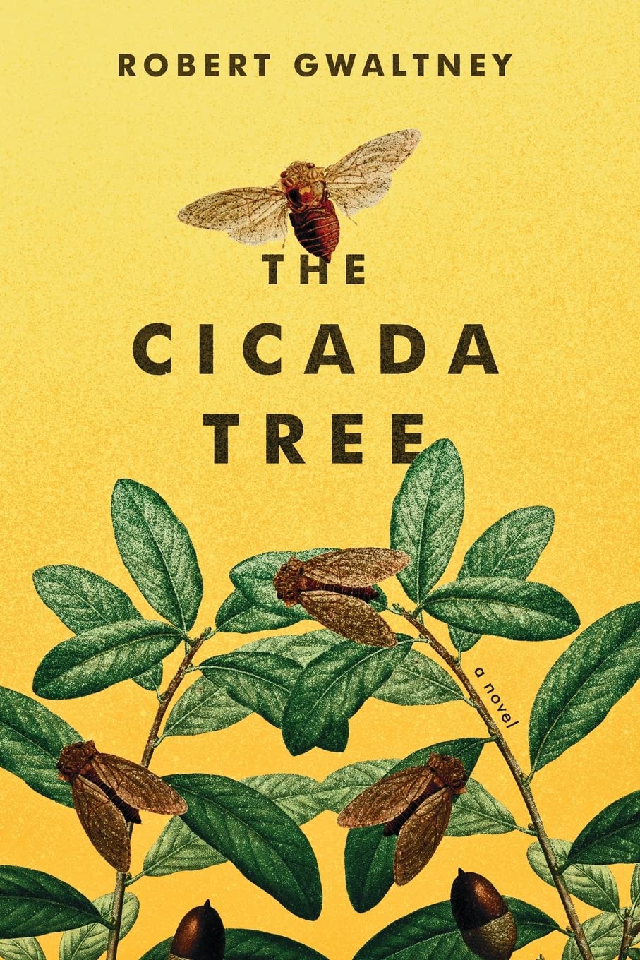 Buy The Cicada Tree — BookShops.in