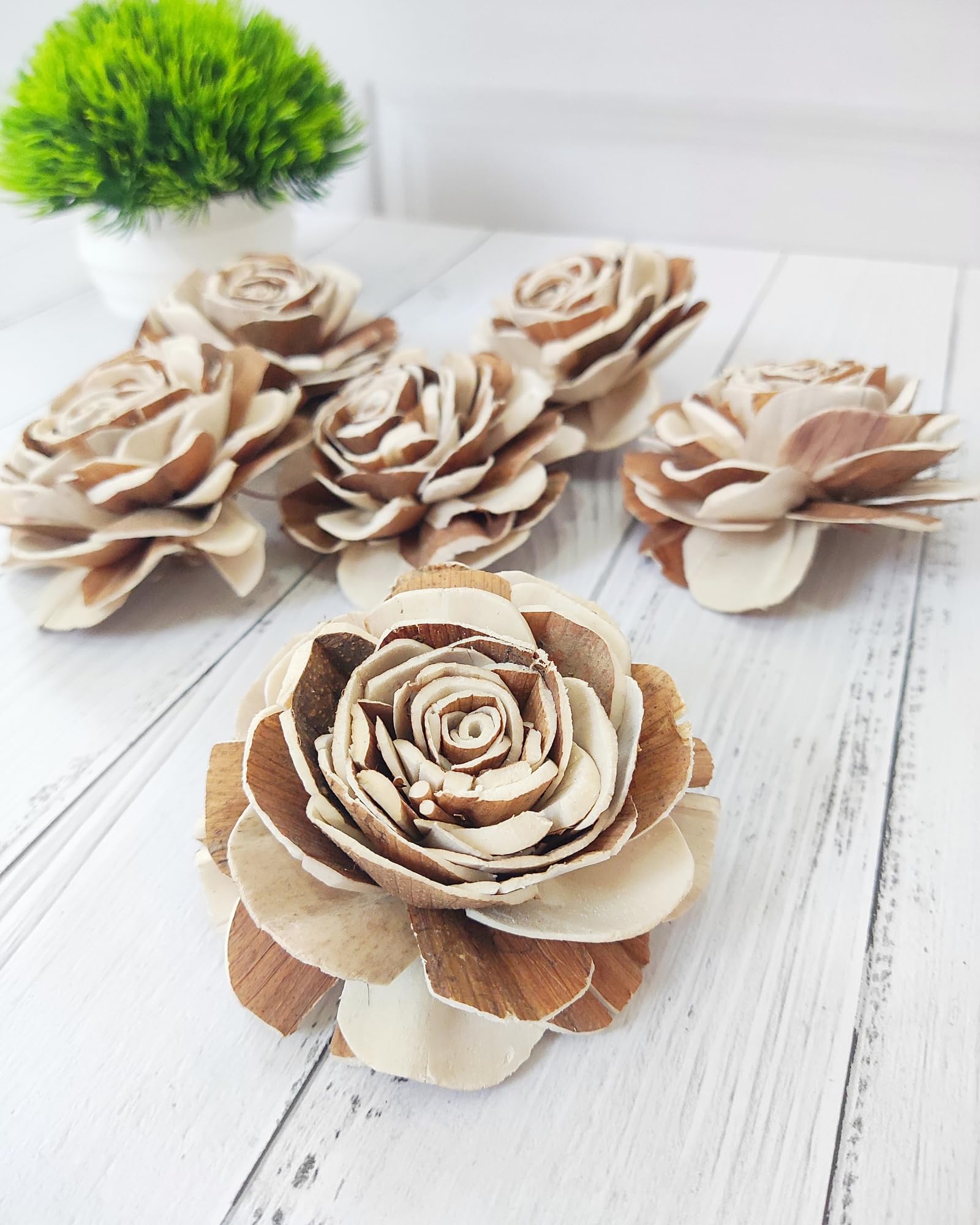 Eco-Friendly Sola Wood Raizel Flowers Pack of 10 pcs | Handcrafted Sustainable Floral Decor | Natural & Biodegradable | Wedding, Home, and Event Decoration (6 cm)-image-14