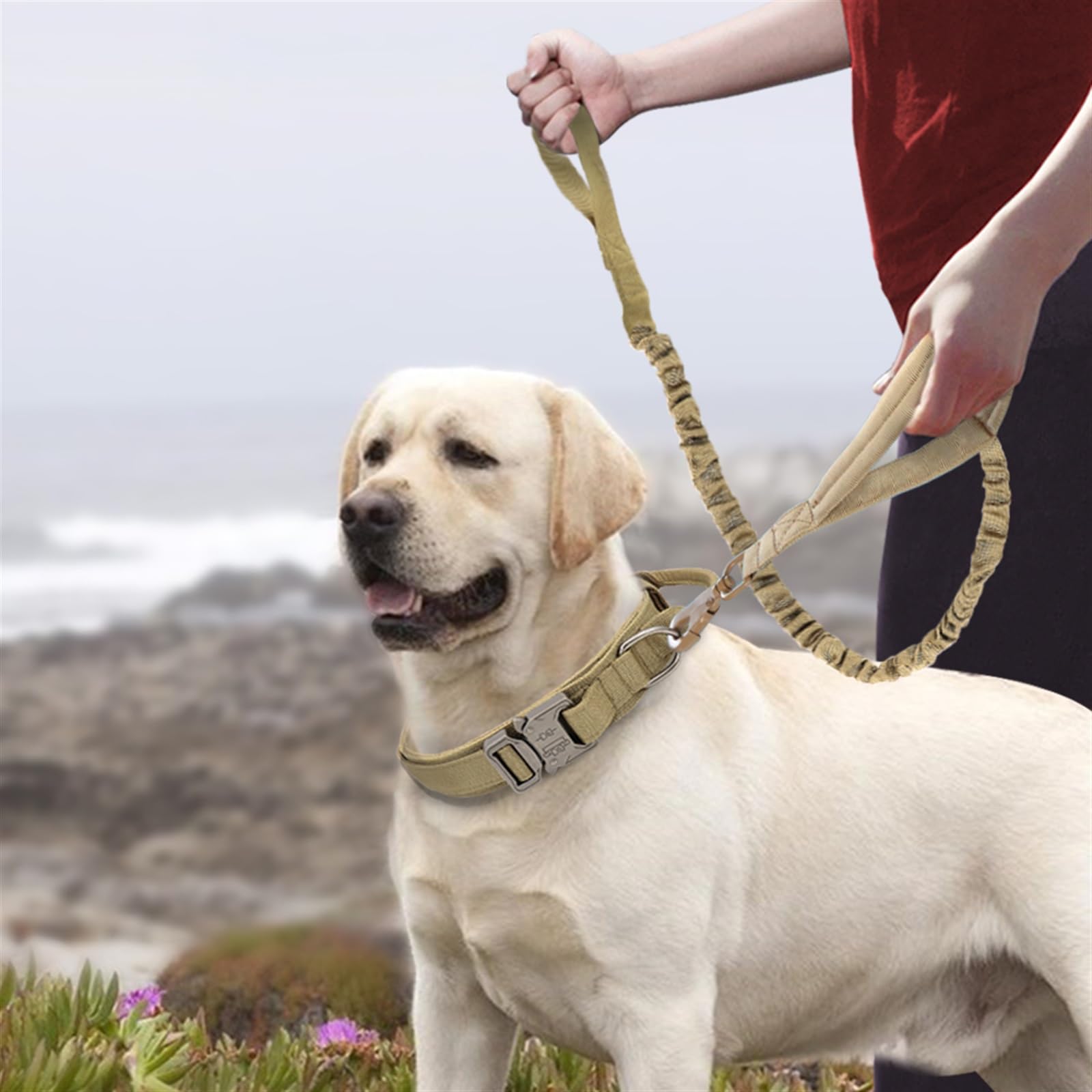 Correa retráctil para Perros, Collar táctico for Perros, Ajustable, de Nailon, Estilo Militar, for medianos y Grandes(Black Set,M)