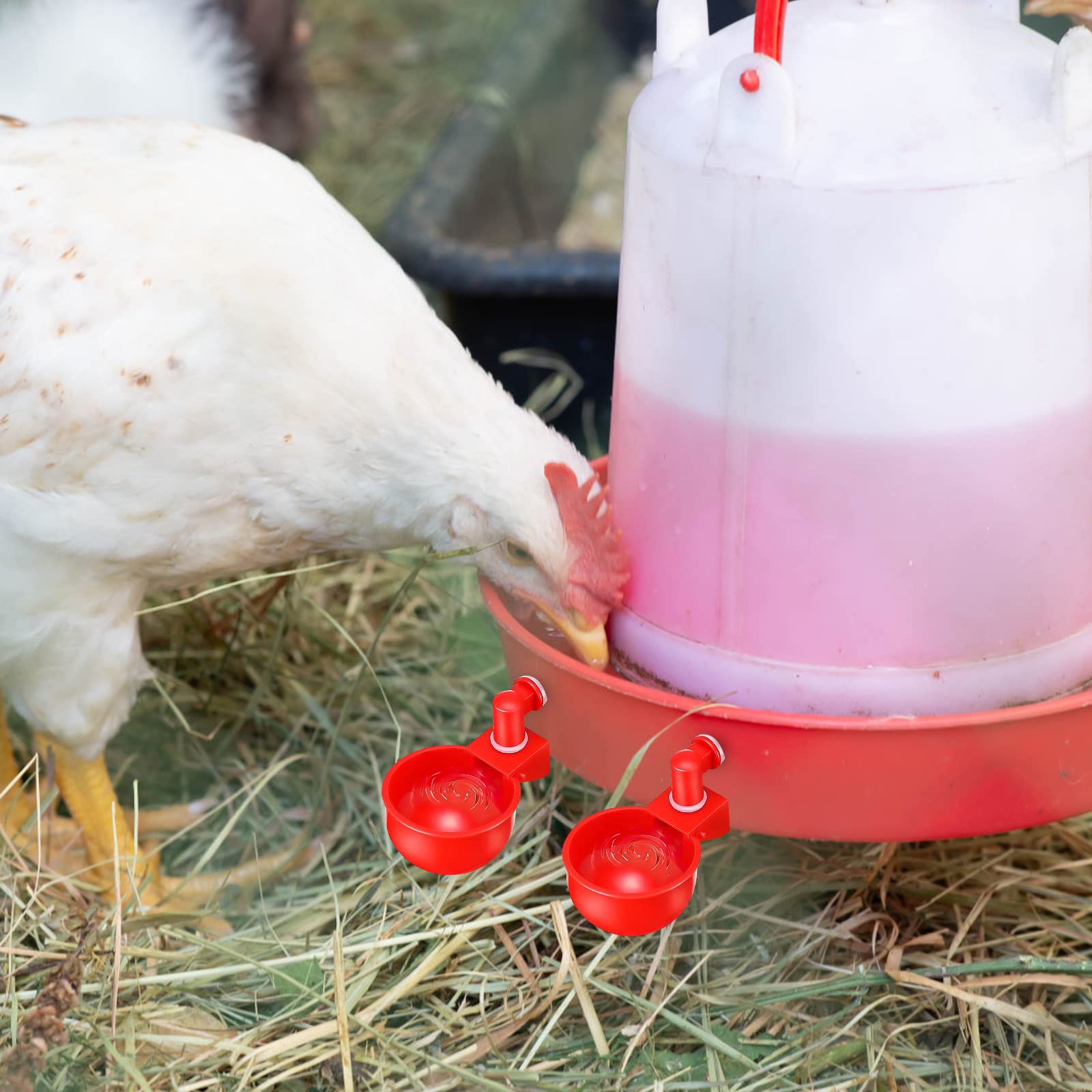Bebedero Automático de Plástico para Pollos - 6 Piezas con Broca para el Agua Potable de Pollos, Patos, Gansos y Otras Aves de Corral