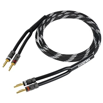 14AWG Speaker Cable Wire with Gold-Plated Banana Tip Plugs 6 Feet - 99.99% Oxygen-Free Copper OFC - in-Wall CL2 Rated, Heavy Duty Braided - Black, 6ft