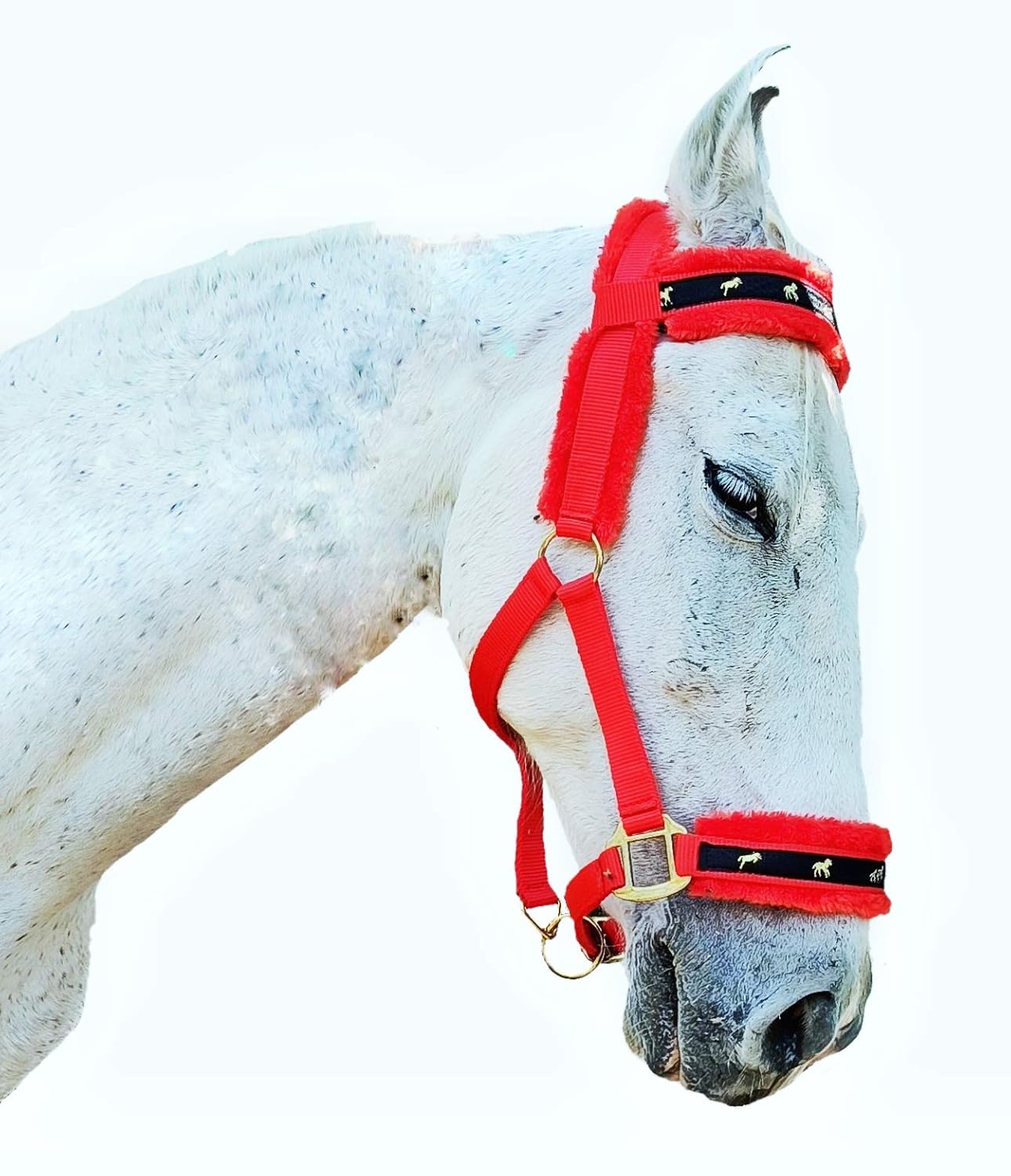 RUDRA'S Adjustable Padded Headcollar for Horse Equestrian Horse Head