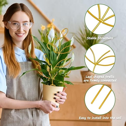 Miniatura 3 de 8 paquetes de enrejado para plantas en maceta, estacas de alambre de metal para plantas trepadoras, amantes de las plantas de interior, enrejado