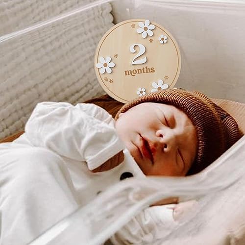 Miniatura 5 de Tarjetas de hitos de flores de margaritas bohemias de madera, decoración de tarjetas de hitos intercambiables de 1 a 12 meses, accesorio de foto de