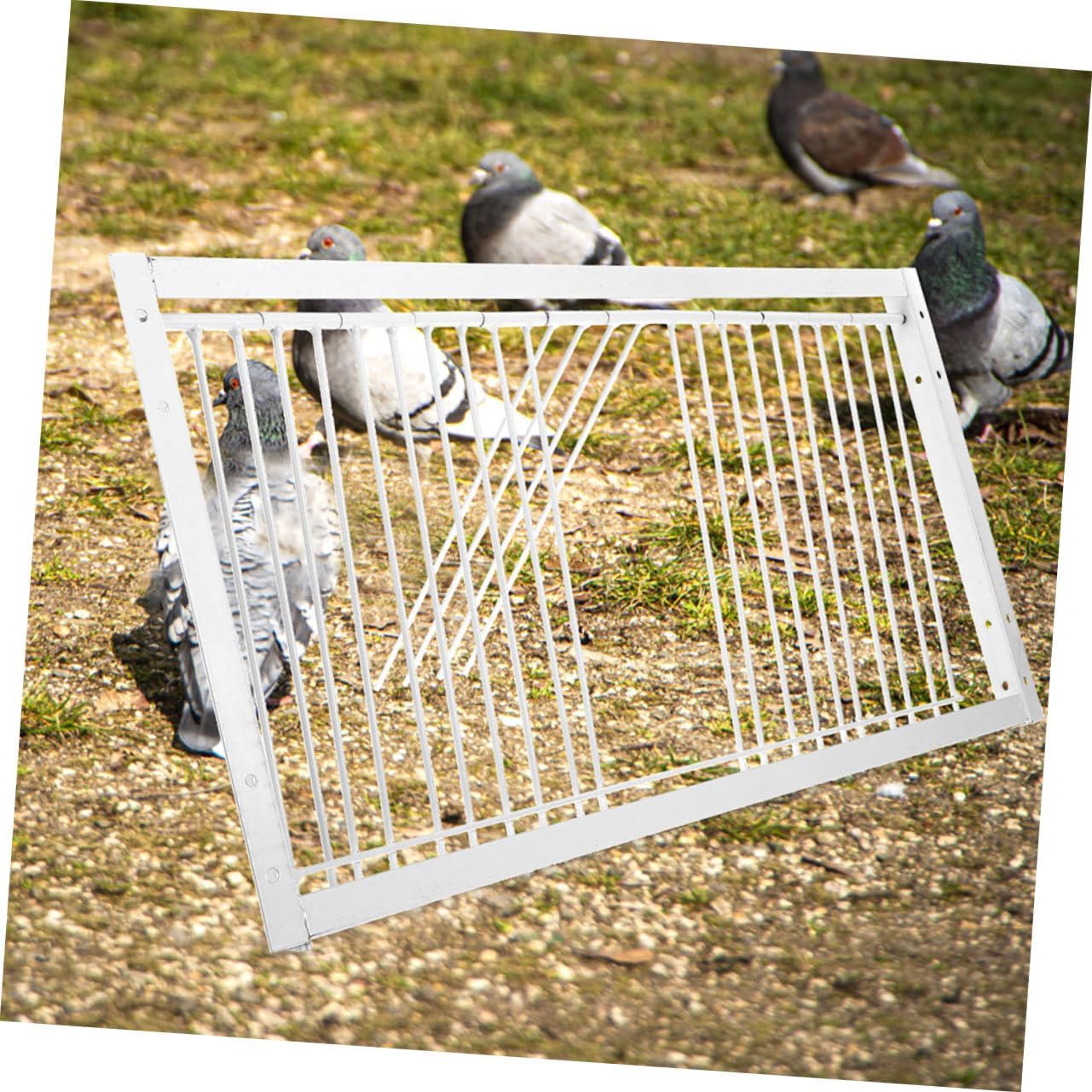 Mipcase 2pcs Racing Pigeon Door Pigeon Wire House Door Secure Bird Cage Replacement