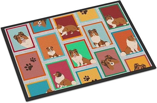 Vista 625 de Caroline's Treasures MLM1087MAT - Felpudo de perro de montaña bernés de 18 x 27 pulgadas, para interiores y exteriores, para entrada, Bernese