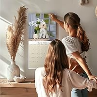 Vista 28 de Razas de Perros 2017