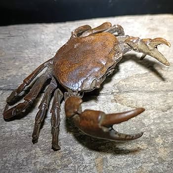 Amazon.co.jp: 蟹 置物 風水 カニ 風水置物 インテリア 銅製