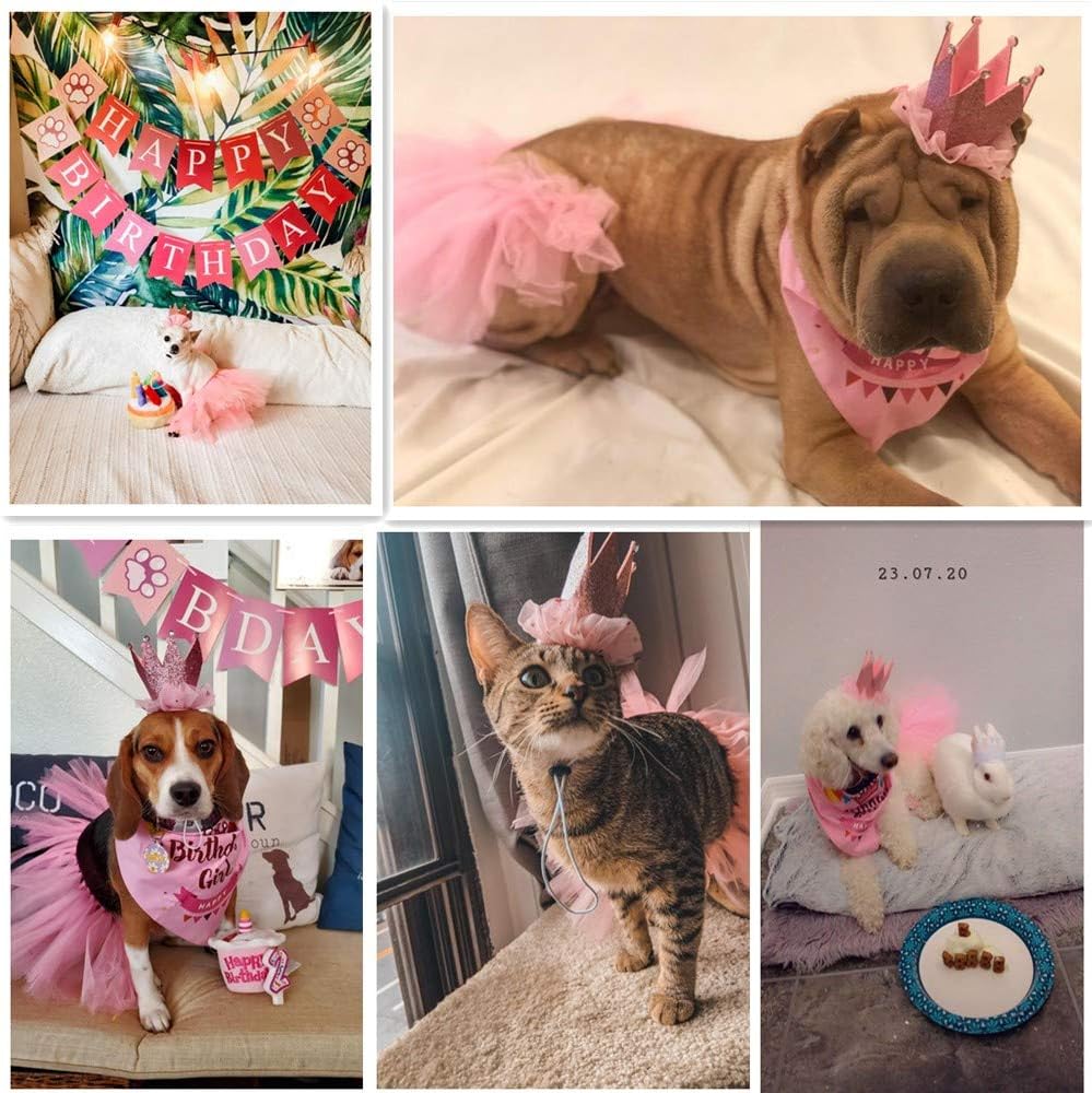 Dog Birthday Girl Bandana, Pink Birthday Hat & Tutu Set, X-Large | 3 Sizes, Birthday Crown with Age Numbers, Birthday Bandana, Pink Dog Tutu & Banner for Large and Extra Large Dogs