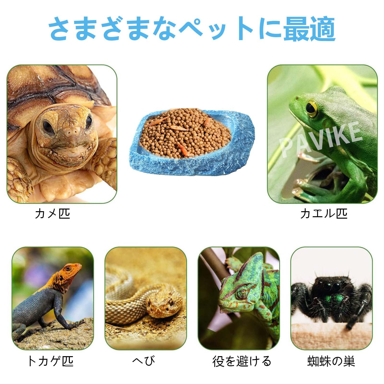 Amazon | PAVIKE 爬虫類水入れ【18*10*2cm】爬虫類餌入れ 両生類水飲み