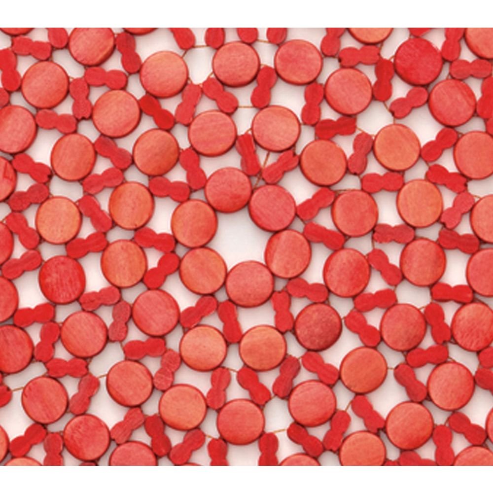 Amazon｜Kim Seybertセットの4ラウンド竹プレースマットin Coral