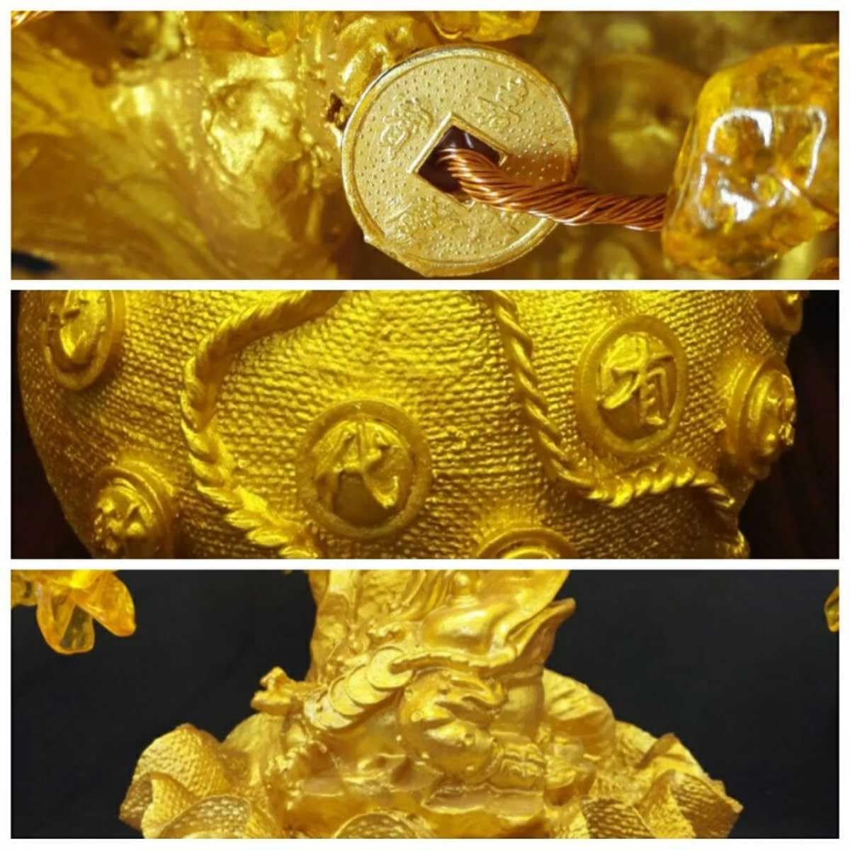 特大黄金木招財樹