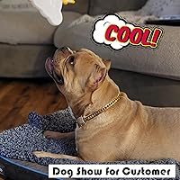 Vista 7 de PRADOG Collar de perro con cadena de oro con cierre de circonita, acero inoxidable de 18 quilates, collar de metal resistente para cachorros, collar