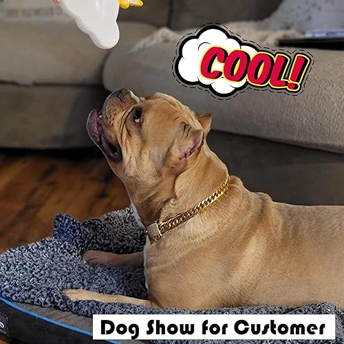 Miniatura 7 de Collar de perro de PRADOG con cadena de oro con cierre de circonita de acero inoxidable de 18 K, resistente, collar de metal para cachorro de lujo