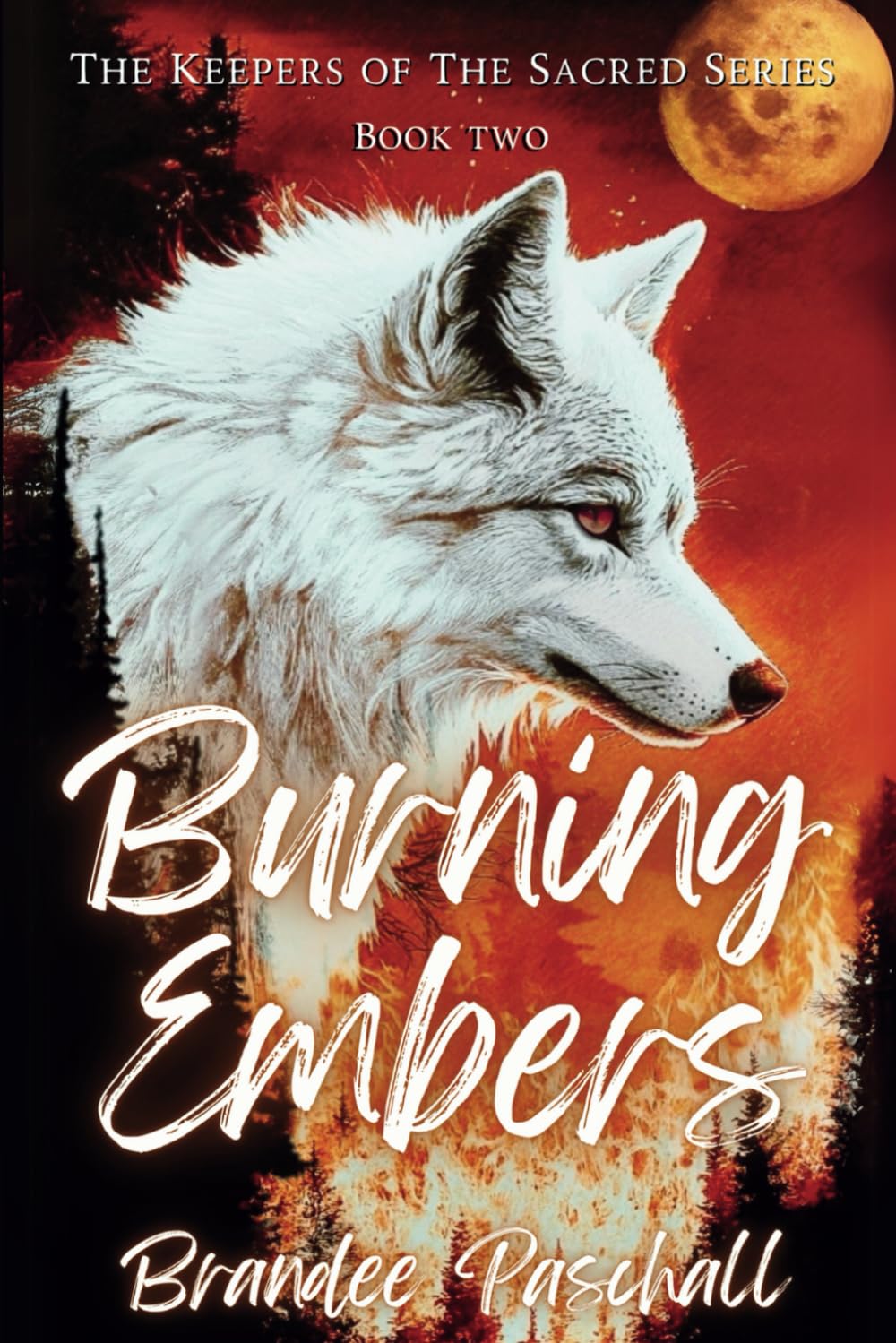 Burning Embers: The Keepers of The Sacred Series: Book Two
