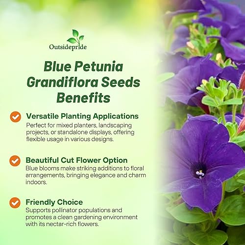 Miniatura 3 de Outsidepride Blue Petunia Grandiflora Seeds - 500 unidades. Semillas de flores anuales, compactas y versátiles para plantar flores vibrantes de bajo