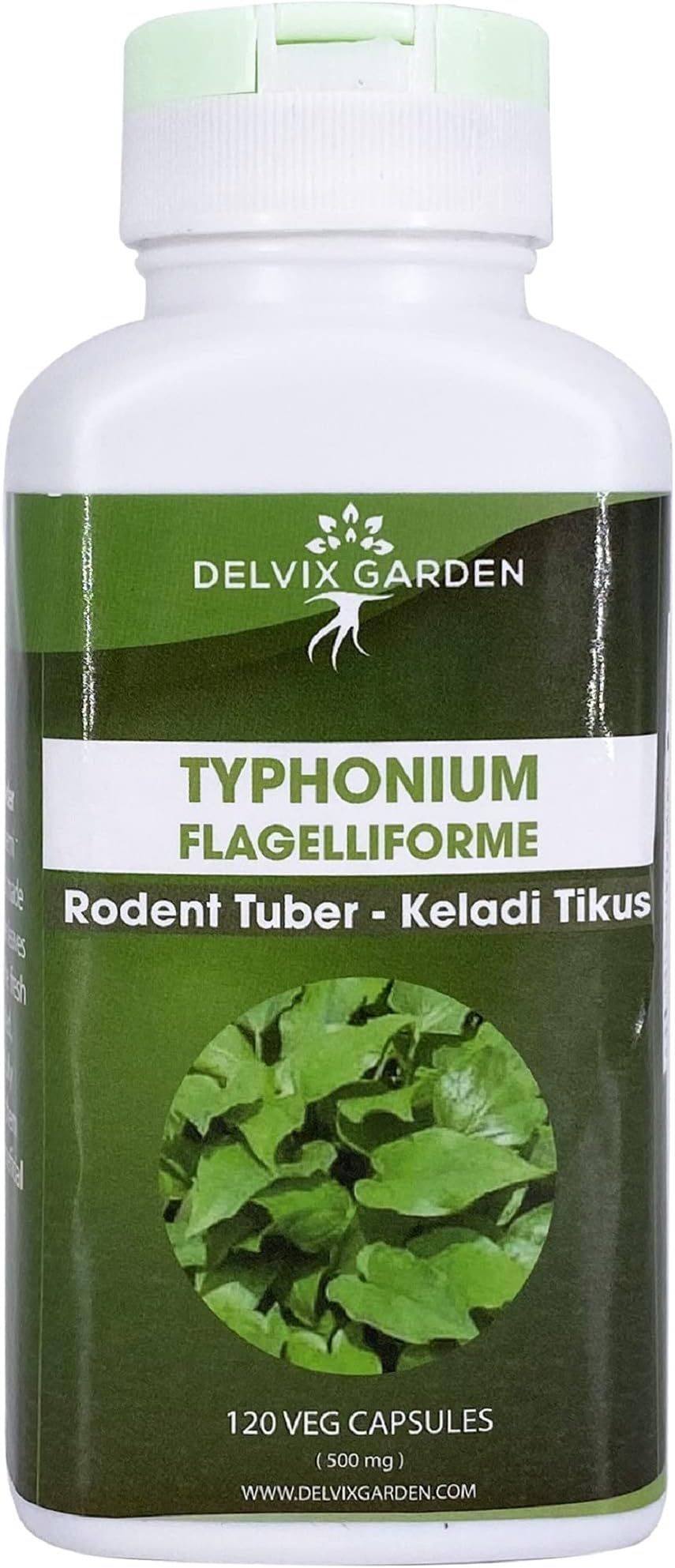 Typhonium Flagelliforme - Rodent Tuber (Keladi Tikus), 120 Capsules, 500 mg