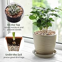 Vista 6 de Grava natural pequeña tipo guisante de 2 libras, guijarros de 3/8 pulgadas para plantas de interior, suculentas, peceras, terrarios, piedras