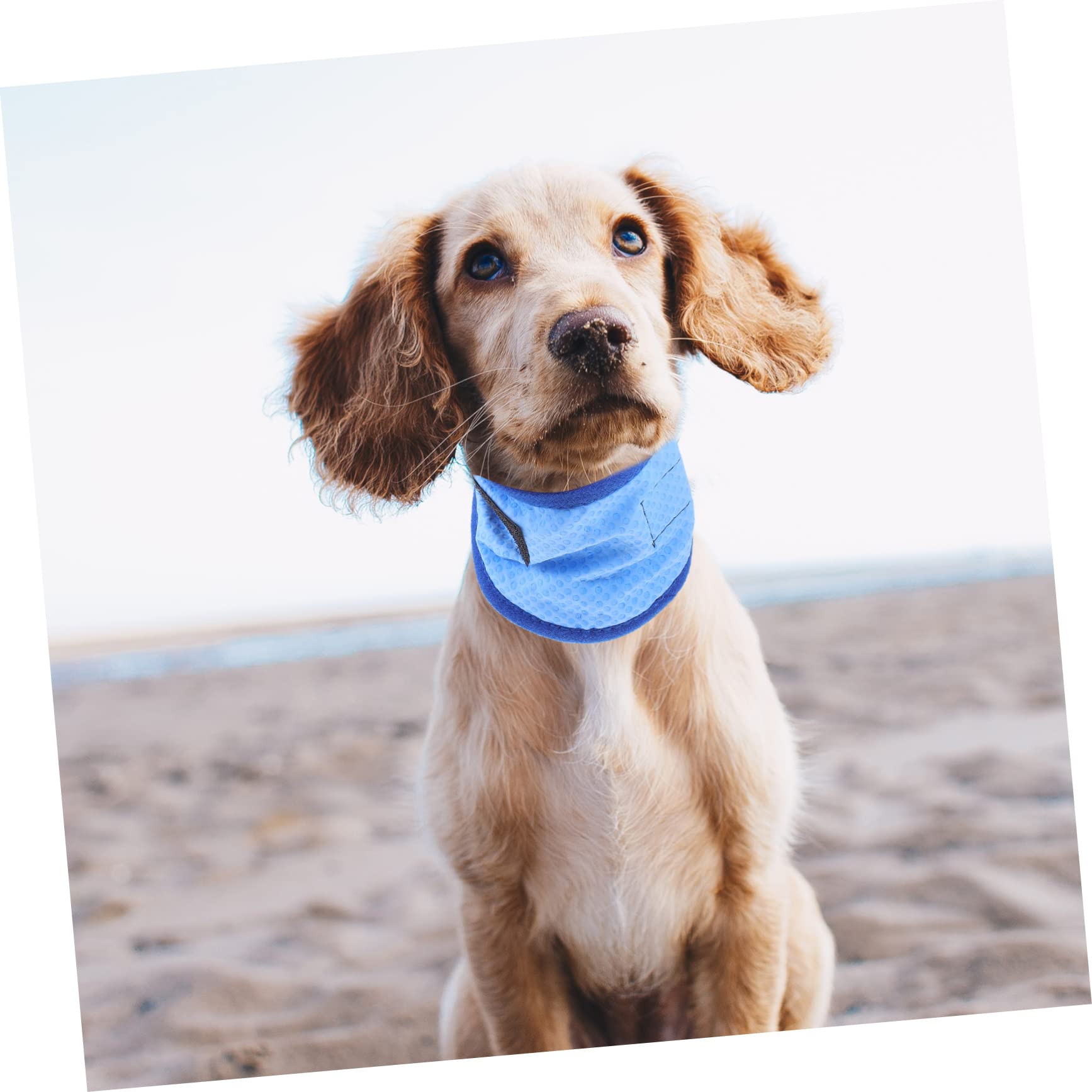BESPORTBLE 5stücke Pet Cooling Towel Für Hunde Atmungsaktives Kühlhalsband Bandana Für Heiße Tage Triangular Design Für Optimale Abkühlung Für Outdoor-aktivitäten Mit Punkten