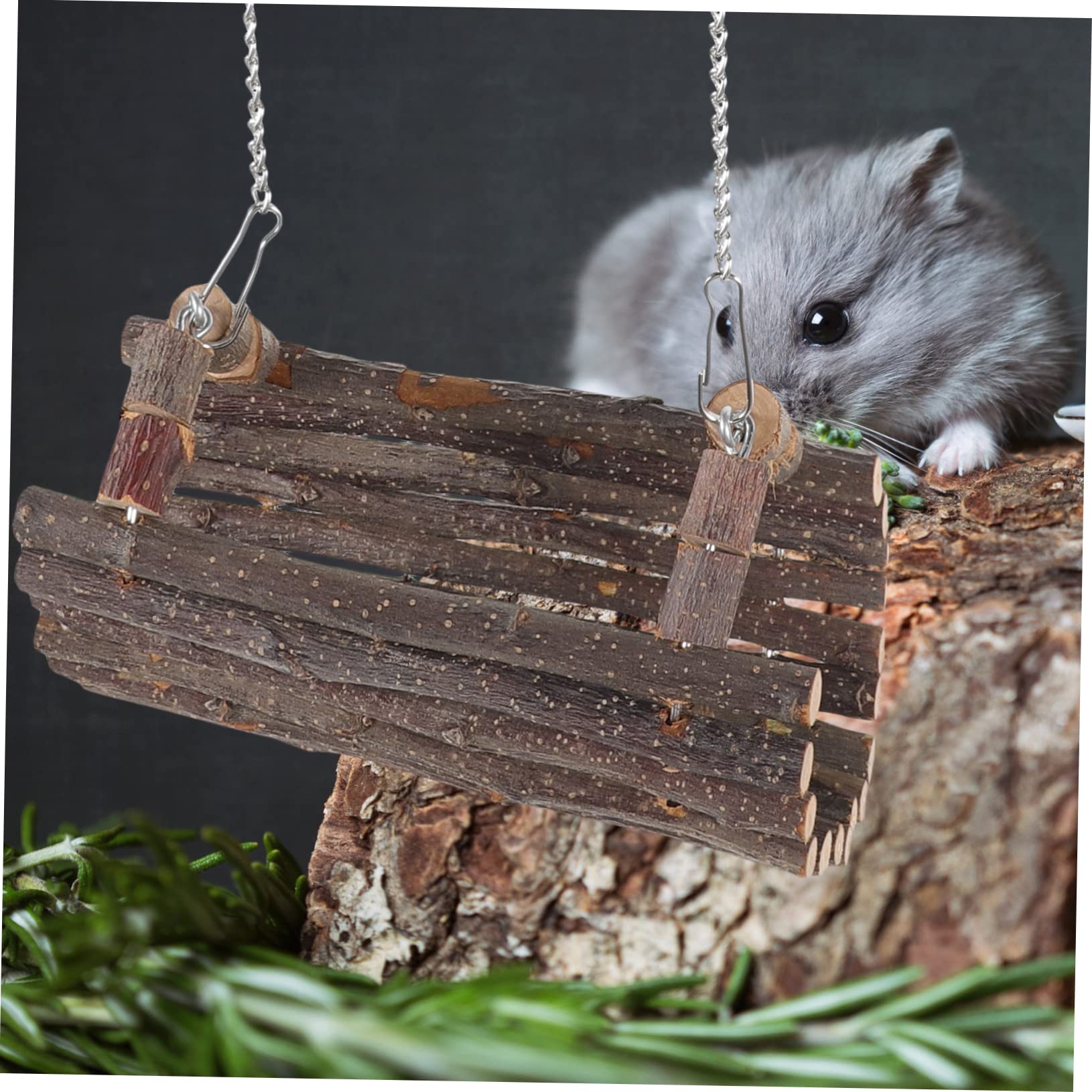 Angoily 3stücke Hamster Holzschaukel Spielzeug Hängematte Für Nager Kauspielzeug Aus Natürlichem Material Für Hamster Chinchillas Und Ratten Fördert Das Spielen Zahnpflege
