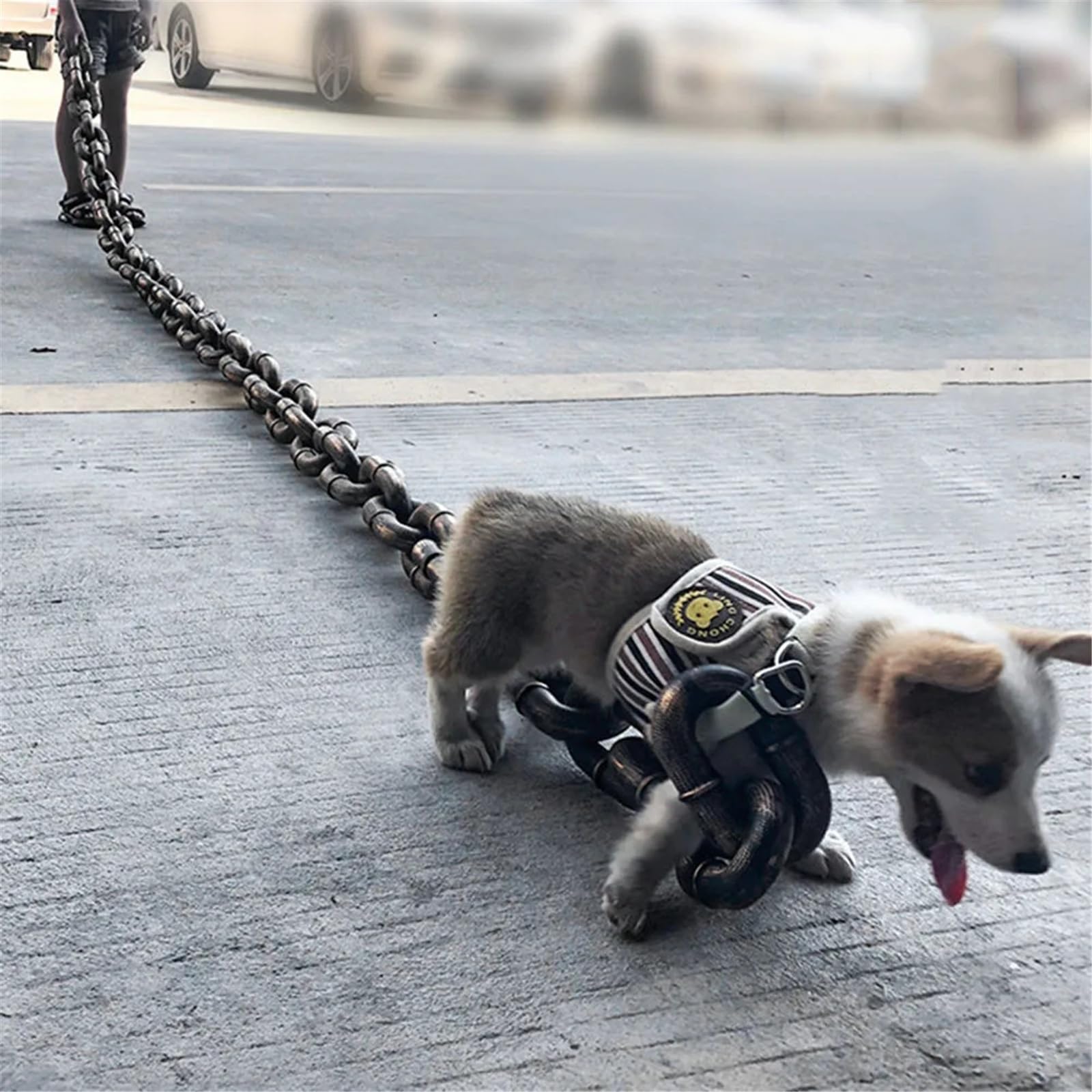 Divertida correa de perro enorme, cadena de hierro de simulación para perros pequeños y gatos, mascotas de tracción de plástico para cachorros (L plateada, 150 cm)