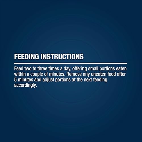 Miniatura 35 de Tetra TetraFauna PRO ReptoMin Pro Sticks Fórmula de tortuga juvenil Dieta diaria para tortugas acuáticas, 12 onzas