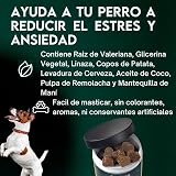 Ver la foto 3