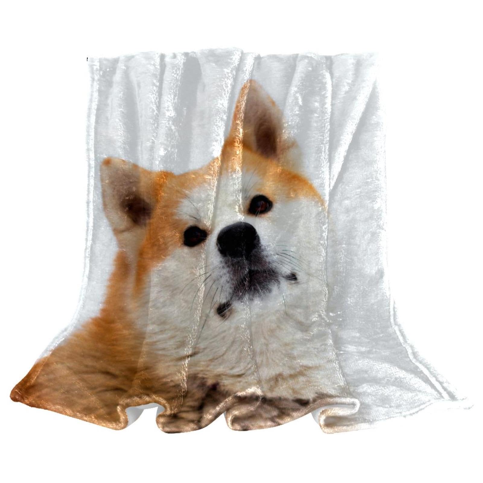 Couverture polaire Shiba Inu contre le froid : grand plaid microfibre isolant