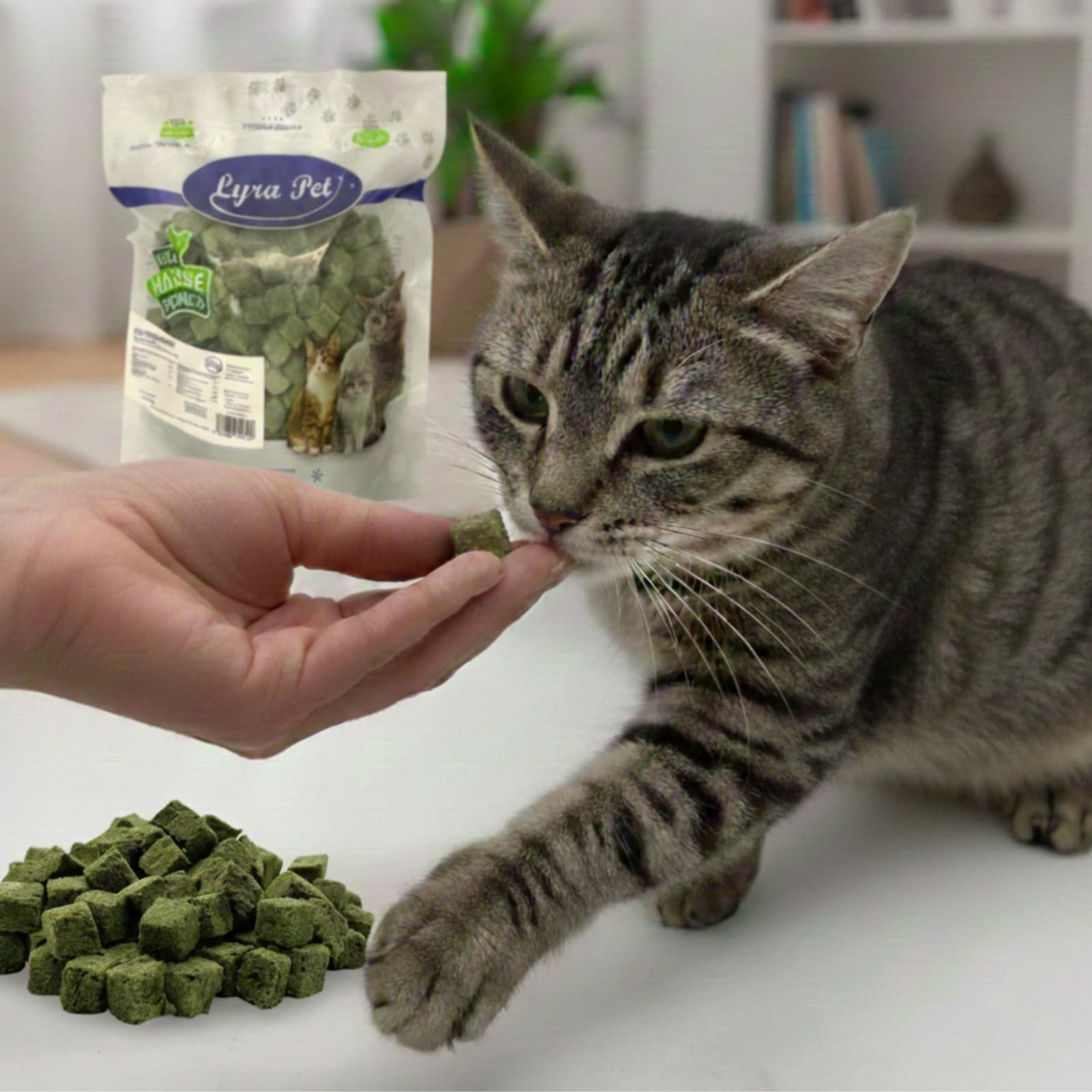 Lyra Pet® 1 kg (5x200g) Katzengraswürfel gefriergetrocknet Snack für Katzen | Mit Huhn & Gerstengras - Getreidefrei & verdauungsfördernd - Ideal auch für Kitten & Senioren - Vitalstoffreiche Belohnung