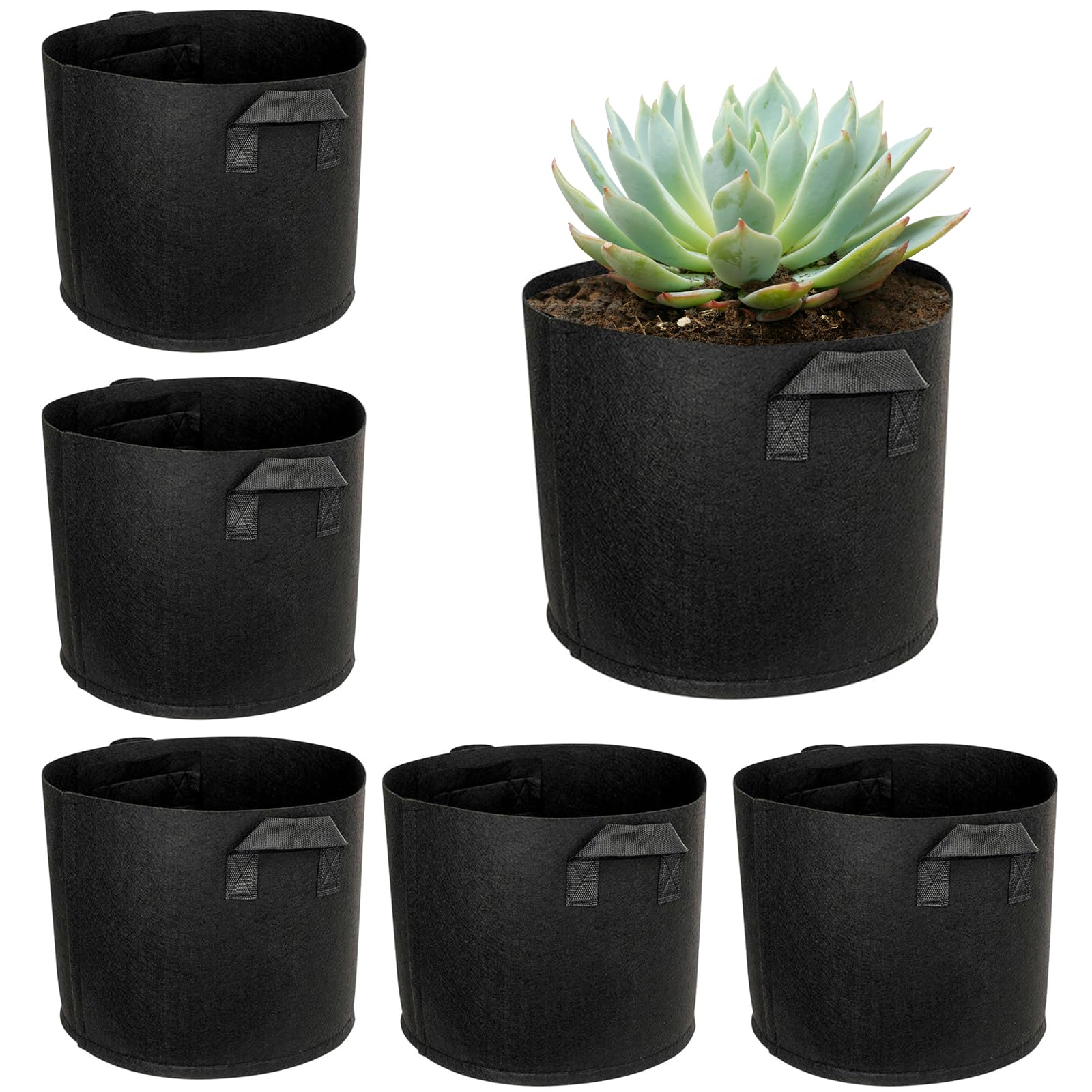 Sac de plantation 3 gallons 12L en tissu lot de 6 pots noirs