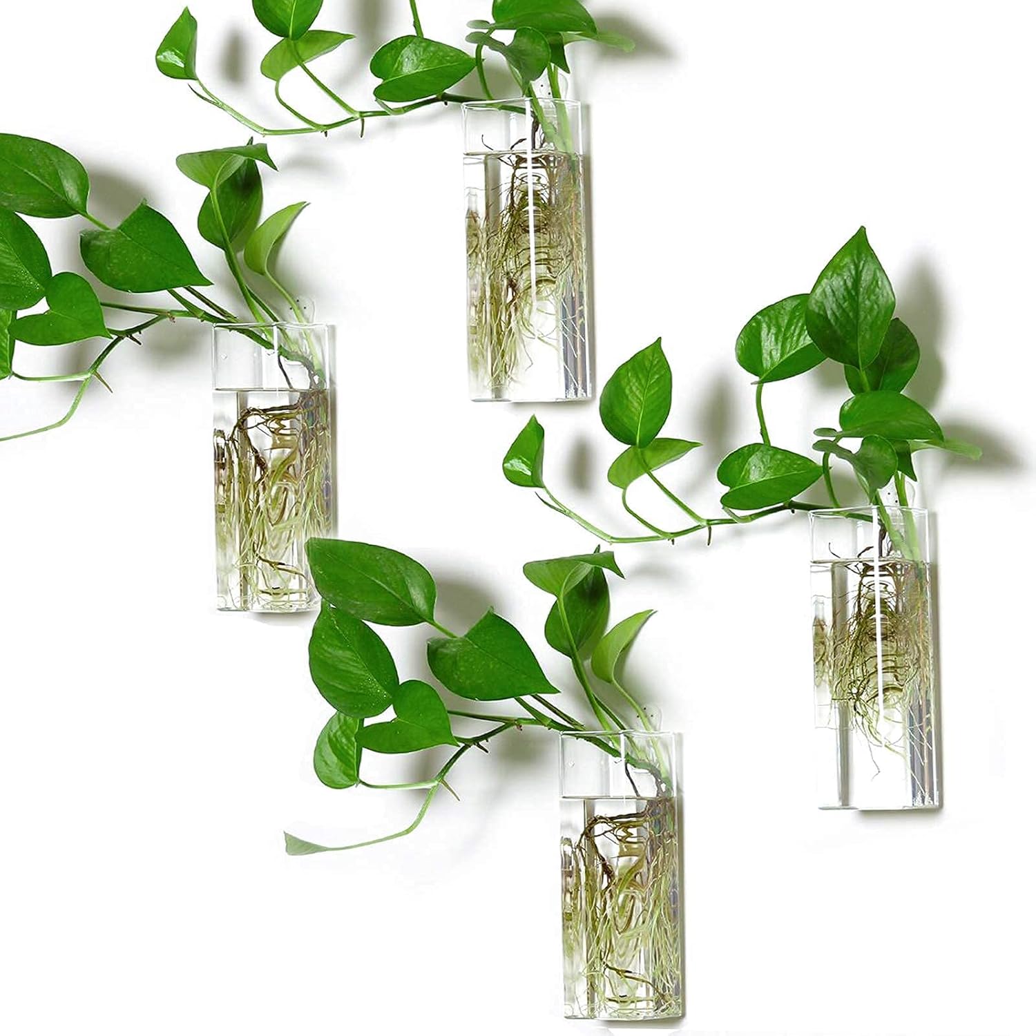 Kingbuy 4PCS Glass Plant Terrarium Container Cylinder Shape + 4PCS Square Shaped Wall Hanging Glass Propagation Station Perfect for Propagating Hydroponic Plants Home Office Garden Decor