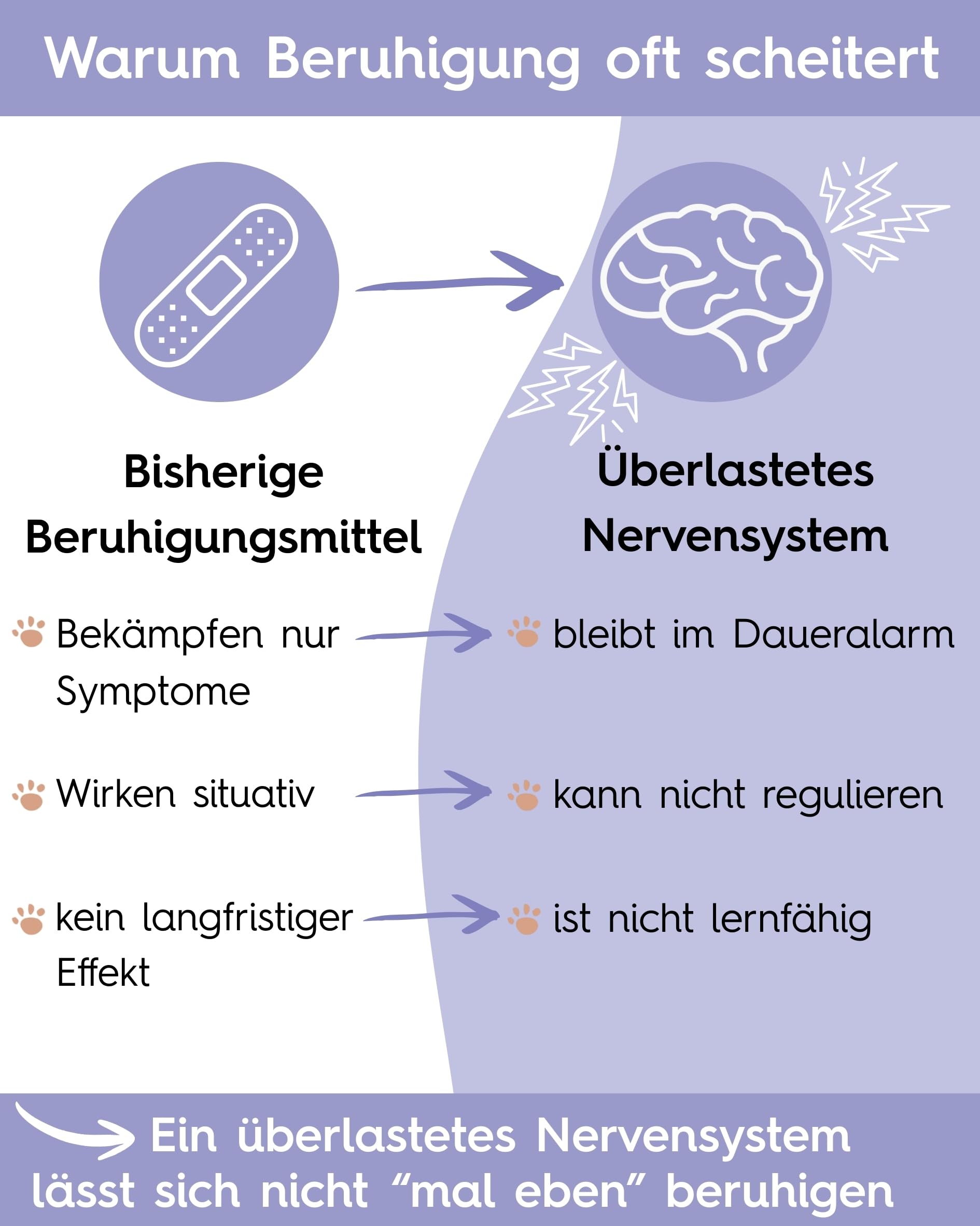 Lucky Pets NEU Beruhigungstabletten für Hunde 150 Stück – Mit L-Tryptophan, Baldrian und Hanfsaat – Bei Angst, Stress, Reisen und Silvester – Beruhigungsmittel für Hunde – Made in Germany