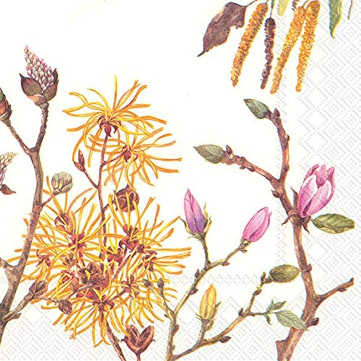 Celebrate the Home Spring 3-Ply Paper Cocktail Napkins, Butterflies and Blossoms, 20 Count